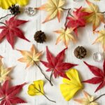 11月の土日祝日無料相談会 11月の土日祝日無料相談会